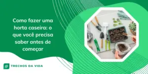 Como fazer uma horta caseira: veja o que é preciso!