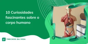 10 Curiosidades fascinantes sobre o corpo humano