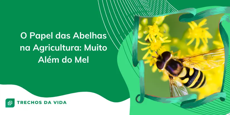 O Papel das Abelhas na Agricultura: Muito Além do Mel