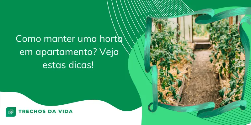Como manter uma horta em apartamento? Veja estas dicas!