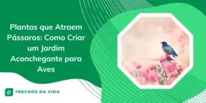 Plantas que Atraem Pássaros: Como Criar um Jardim Aconchegante para Aves