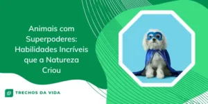Animais com Superpoderes: Habilidades Incríveis que a Natureza Criou