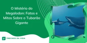 O Mistério do Megalodon: Fatos e Mitos Sobre o Tubarão Gigante