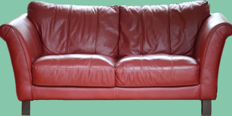 A origem do sofá: de símbolo de poder a item de conforto