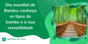 Dia Mundial do Bambu: Conheça os Tipos de Bambu e a Sua Versatilidade