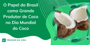 O Papel do Brasil como Grande Produtor de Coco no Dia Mundial do Coco