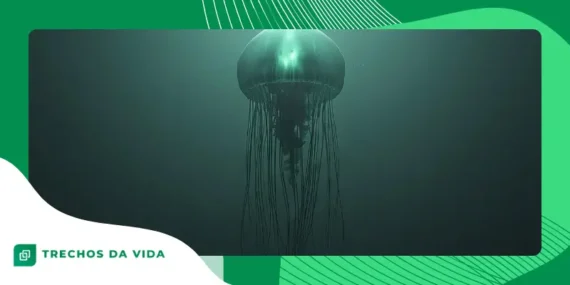 Sons Misteriosos Captados pelos Oceanos: Fenômenos que Desafiam a Ciência Até Hoje