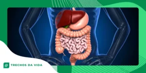 Fatos curiosos sobre o intestino humano que você nunca imaginou ser verdade