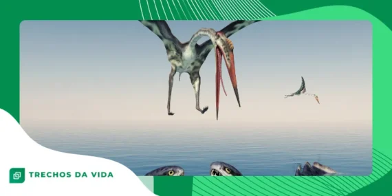 Como a descoberta de pterossauro revela surpresas da ciência pré-histórica