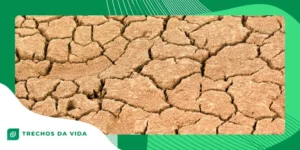 O lago que aparece e desaparece sem explicação aparente