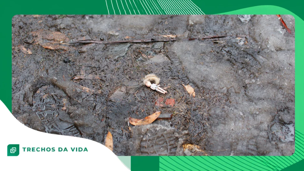 pegadas humanas encontradas em lugares improváveis