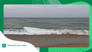 Por que os oceanos estão mudando de cor em algumas regiões