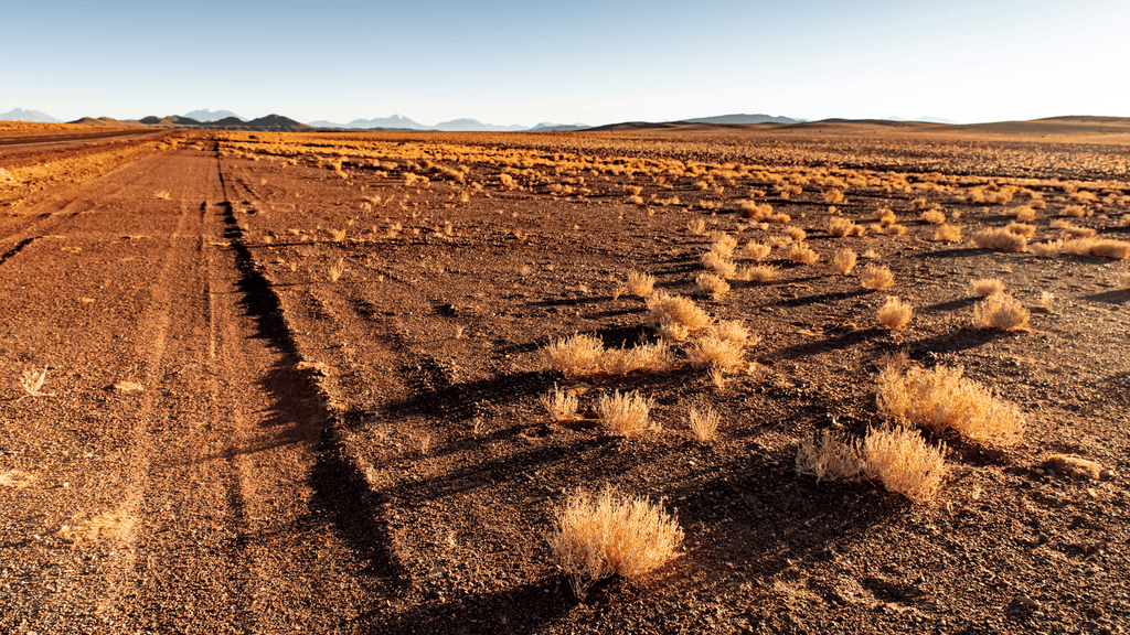 Deserto do Atacama guarda segredos sob o solo mais seco