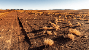 Deserto do Atacama guarda segredos sob o solo mais seco