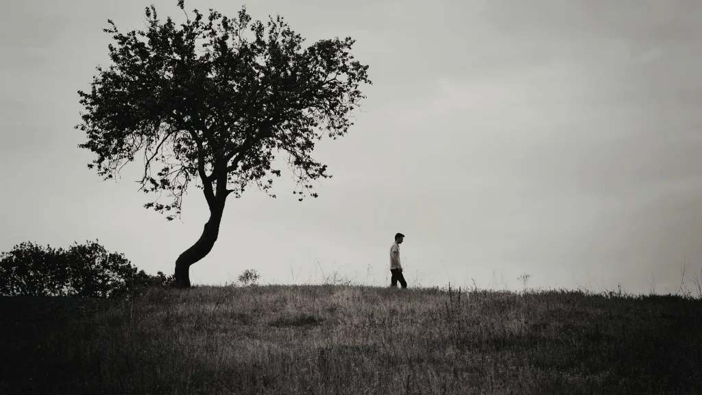 Árvores que caminham: mito ou fenômeno da natureza?