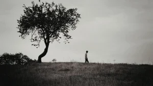Árvores que caminham: mito ou fenômeno da natureza?
